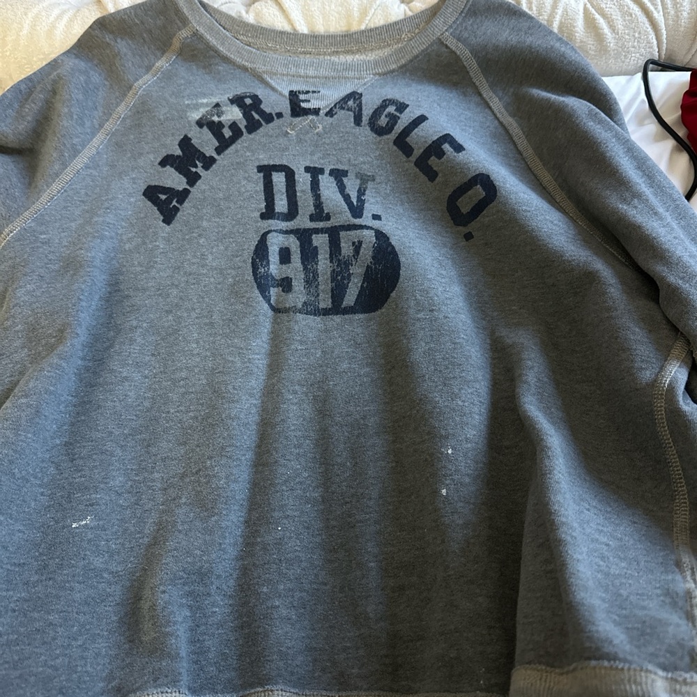 American Eagle Outfitters Gray Sweatshirt Hoodie